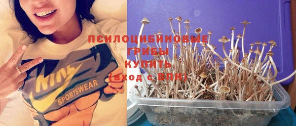трава Волоколамск
